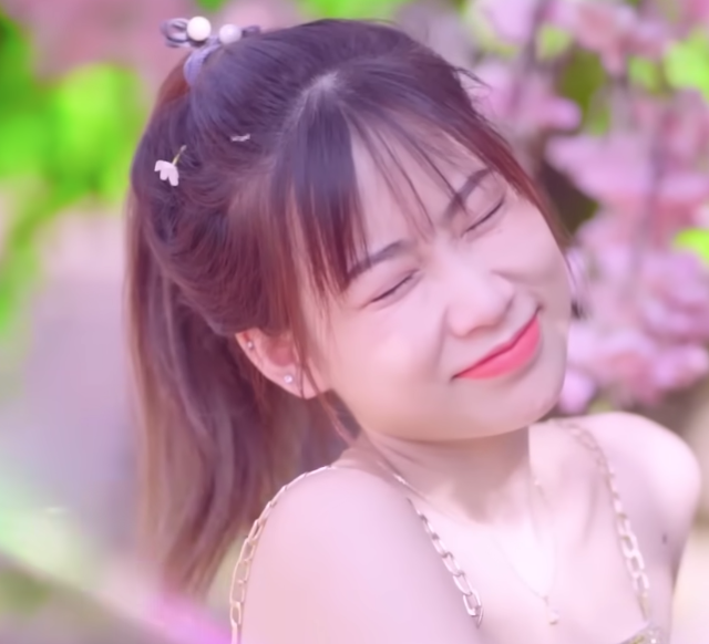 lĩnh vực hoạt động